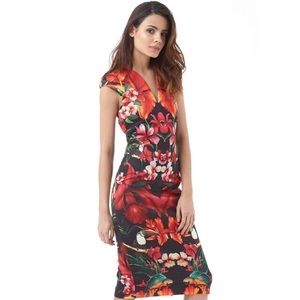 Ted Baker Size 3 Toucan Print Dress